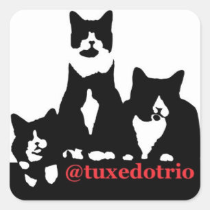 Pegatina Cuadrada Plaza TuxedoTrio