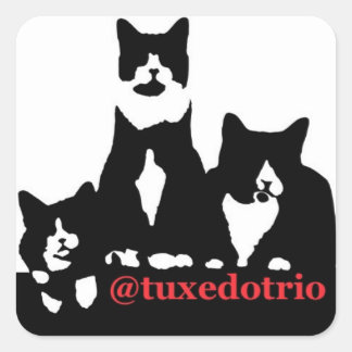 Pegatina Cuadrada Plaza TuxedoTrio