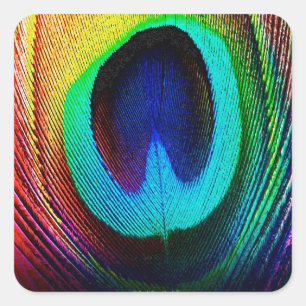 Pegatina Cuadrada Pluma de pavo real vibrante