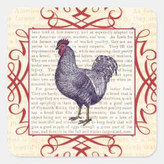 Pegatina Cuadrada Plymouth Rock Rooster Vintage