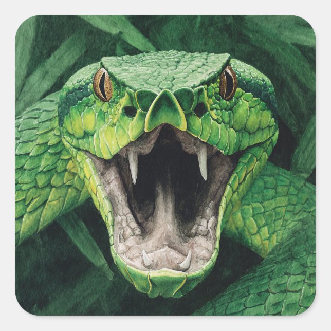 Pegatina Cuadrada Poder Primal 008 – Serpiente (Anverso)