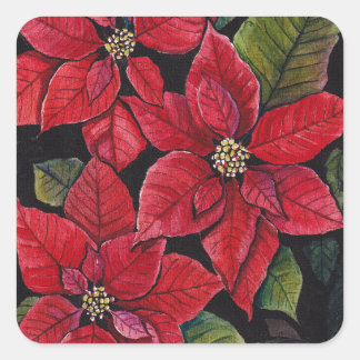 Pegatina Cuadrada Poinsettia vibrante en acuarela