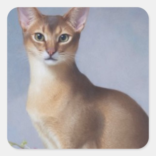 Pegatina Cuadrada Poised Abyssinian – Elegant Cat Sticker (Anverso)
