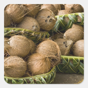Pegatina Cuadrada Polinesia, Reino de Tonga. Visualización de cocos