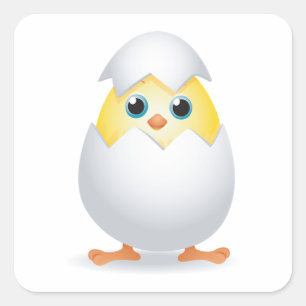 Pegatina Cuadrada Pollito Amarillo Saliente de la Cáscara del Huevo