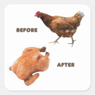 Pegatina Cuadrada Pollo antes y después