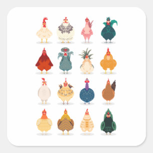 Pegatina Cuadrada Pollo blanco
