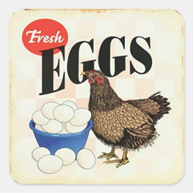 Pegatina Cuadrada Pollo de huevo fresco retro vintage (Anverso)