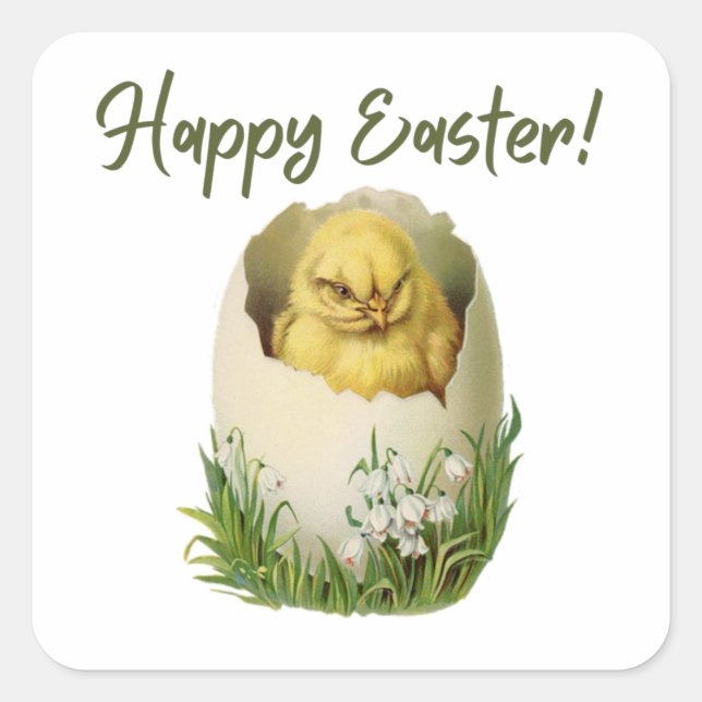 Pegatina Cuadrada Pollo de Pascua Vintage (Anverso)