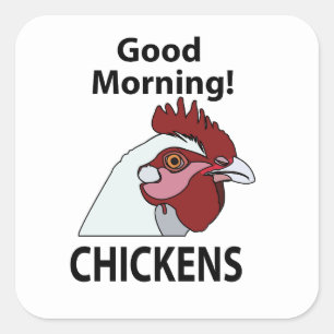 Pegatina Cuadrada Pollos buenos días pollo gracioso