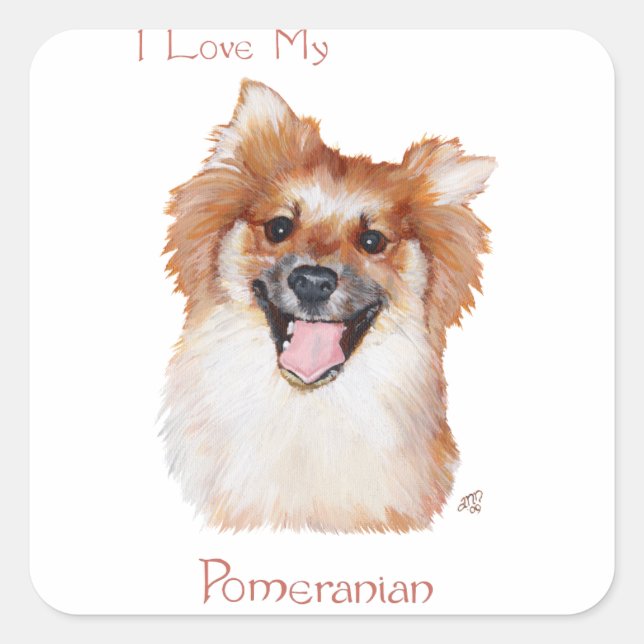Pegatina Cuadrada Pomerania (Anverso)