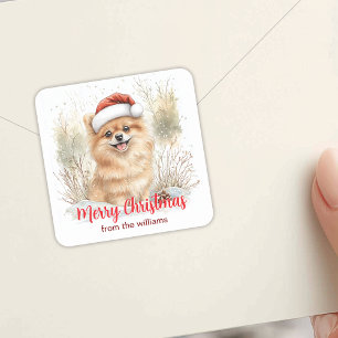 Pegatina Cuadrada Pomerania acuarela en Santa Hat Feliz Navidad