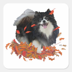 Pegatina Cuadrada Pomerania en Otoño