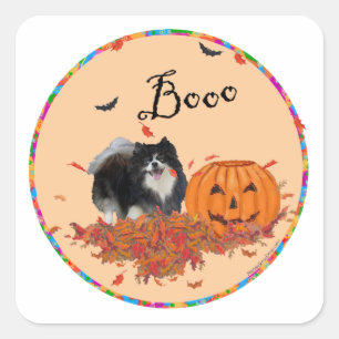 Pegatina Cuadrada Pomerania negra de Halloween