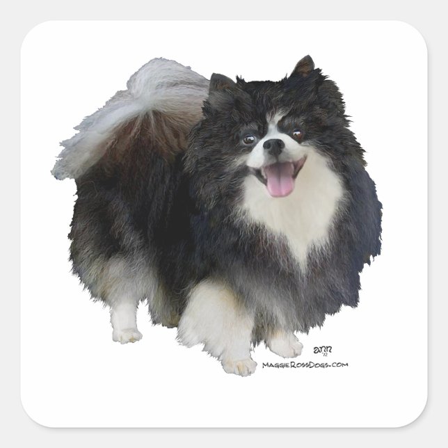 Pegatina Cuadrada Pomerania negro (Anverso)