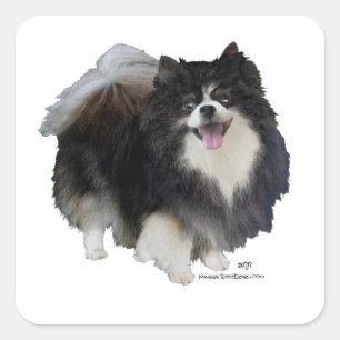 Pegatina Cuadrada Pomerania negro