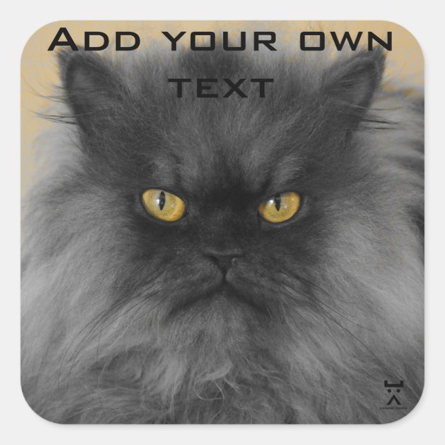 Pegatina Cuadrada Póngalo... (Anverso)