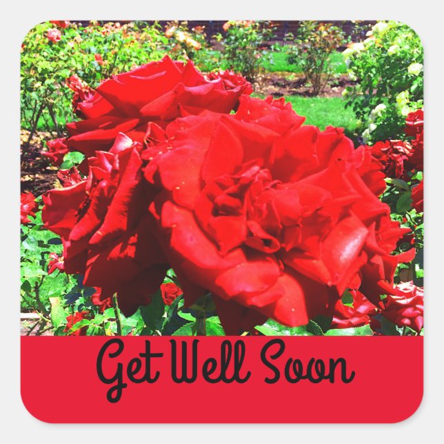 Pegatina Cuadrada Ponte bien pronto, Pegatinas de la Rosa Roja #1 (Anverso)