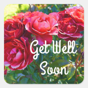 Pegatina Cuadrada Ponte bien pronto Rosa de Cacao Caliente #3 Pegati