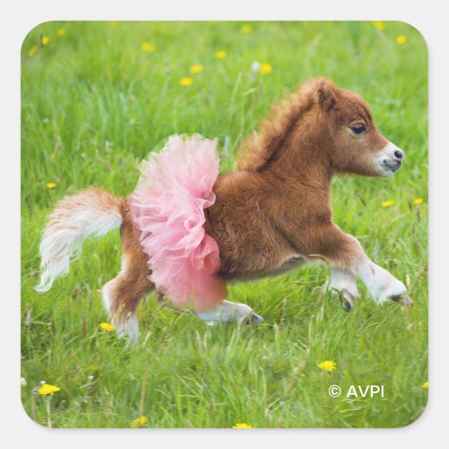 Pegatina Cuadrada Pony en Tutu (Anverso)