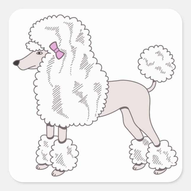 Pegatina Cuadrada Poodle (Anverso)