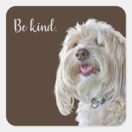 Pegatina Cuadrada Poodle agrio con cotización