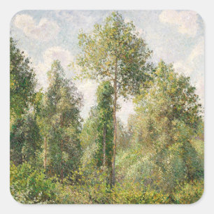 Pegatina Cuadrada Poplars, Éragny Camille Pissarro
