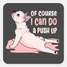 Por supuesto que puedo hacer un "Push Up" un perro