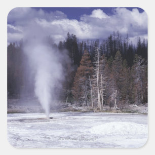 Pegatina Cuadrada Pork Chop Geyser, Parque Nacional Yellowstone