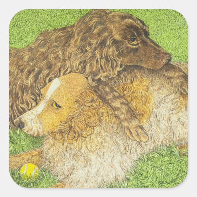 Pegatina Cuadrada Posología (Anverso)