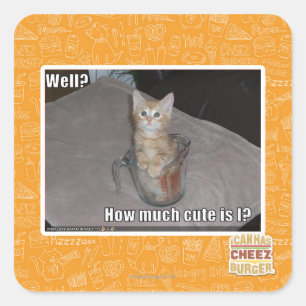 Pegatina Cuadrada ¿Pozo?