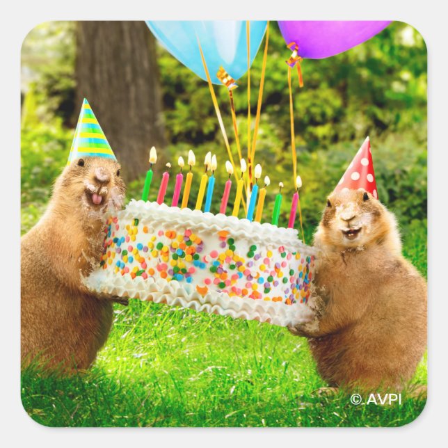 Pegatina Cuadrada Prairie Dog Birthday Party (Anverso)