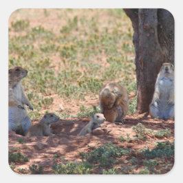 Pegatina Cuadrada Prairie Dog Family
