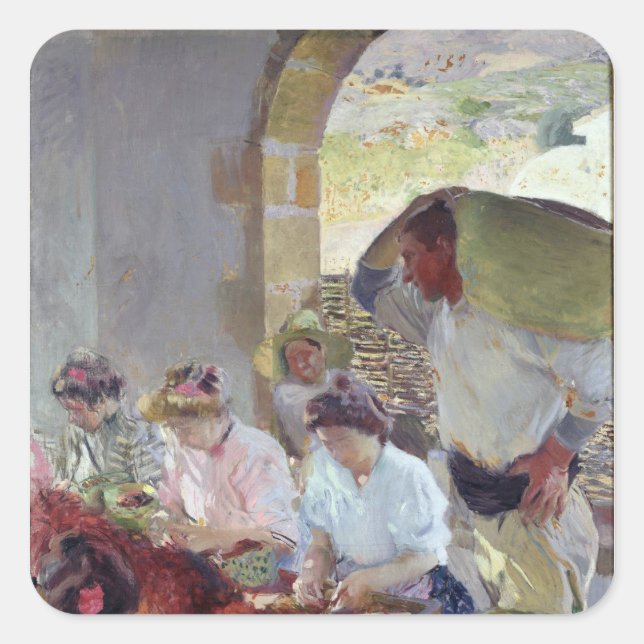 Pegatina Cuadrada Preparación de uvas secas, 1890 (Anverso)