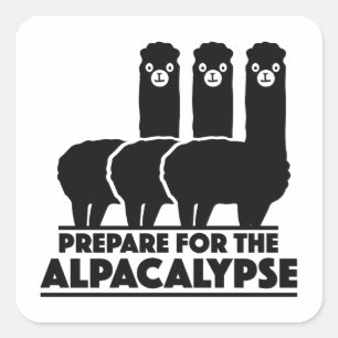 Pegatina Cuadrada Prepararse Para El Alpacalypse