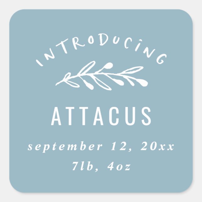Pegatina Cuadrada Presentación del anuncio de nacimiento de la rama (Anverso)