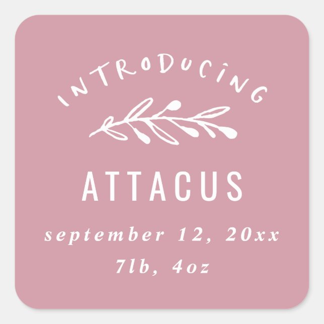 Pegatina Cuadrada Presentación del anuncio de nacimiento de la rama (Anverso)