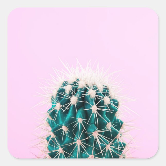 Pegatina Cuadrada Prickley Cactus en rosa (Anverso)