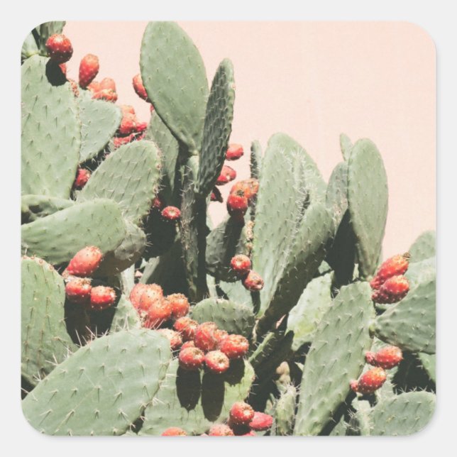 Pegatina Cuadrada Prickley Pear Cactus (Anverso)
