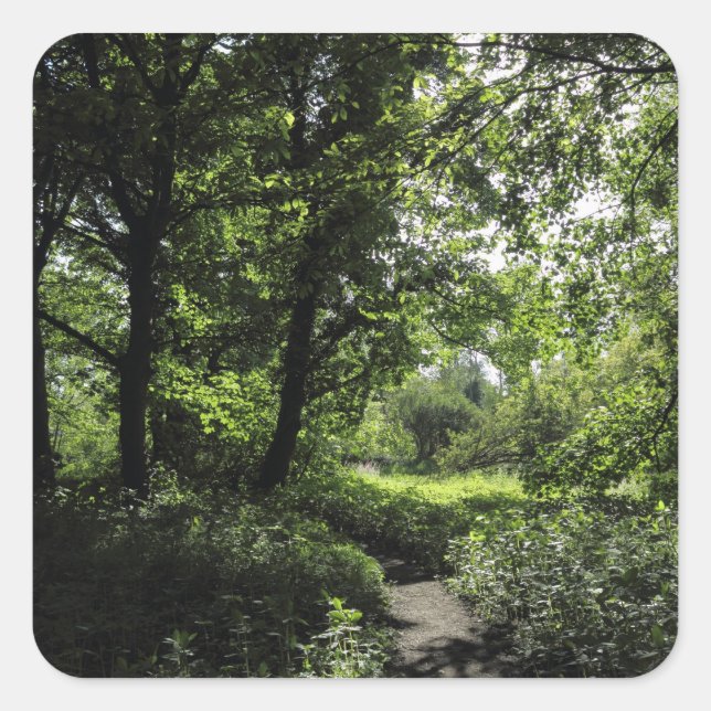 Pegatina Cuadrada Primavera en los bosques 03 (Anverso)