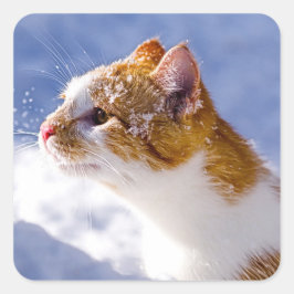 Pegatina Cuadrada primer invierno