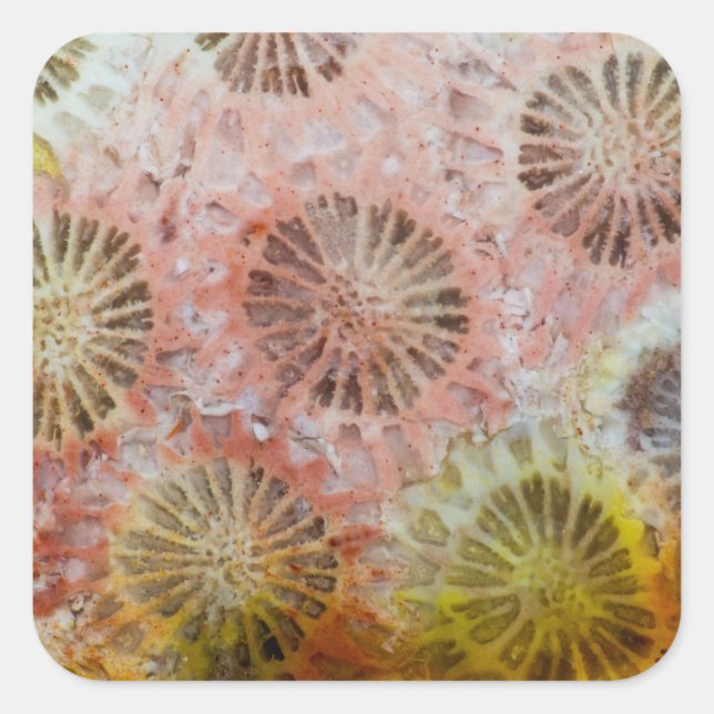Pegatina Cuadrada Primer plano de coral rosa (Anverso)