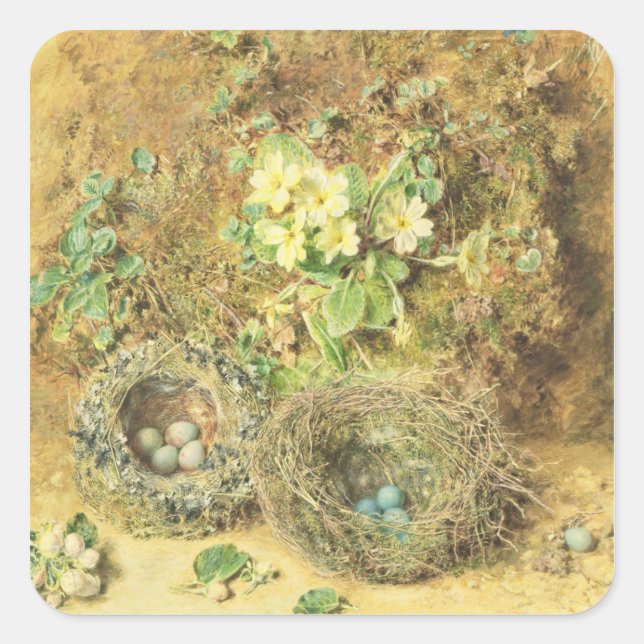 Pegatina Cuadrada Primoras y nidos de pájaros (Anverso)