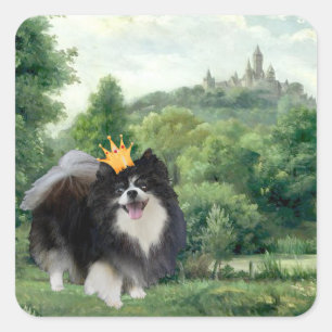 Pegatina Cuadrada Príncipe Pomerania Negro