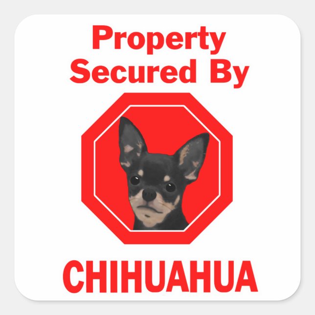 Pegatina Cuadrada Propiedad asegurada por Chihuahua (Anverso)