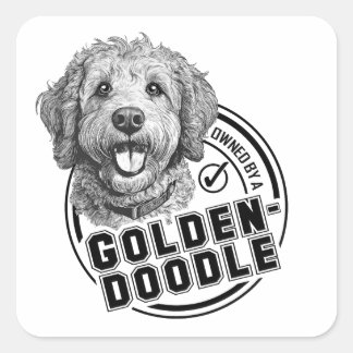 Pegatina Cuadrada Propiedad de un Goldendoodle