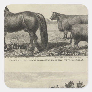 Pegatina Cuadrada Propiedad McAfee, Topeka McCrumb, Kansas