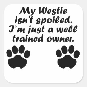Pegatina Cuadrada Propietario de Westie bien entrenado