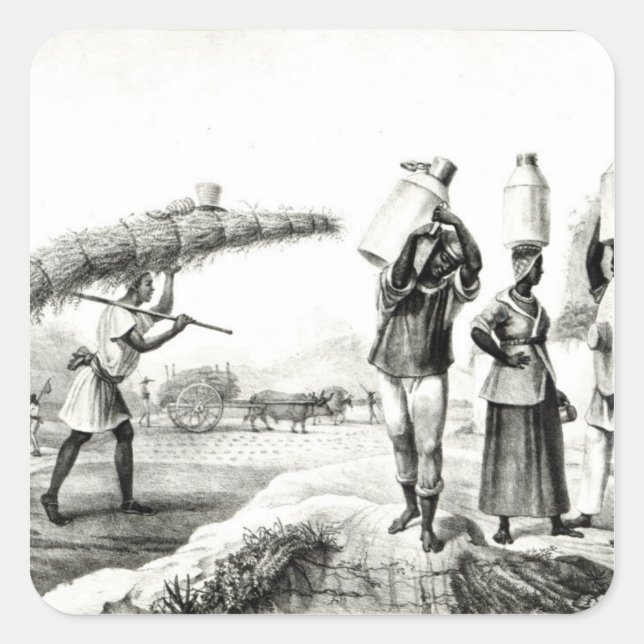 Pegatina Cuadrada Proveedores de leche y capim