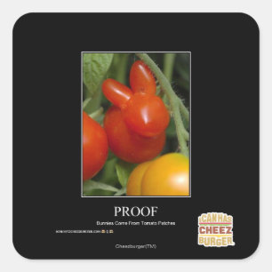 Pegatina Cuadrada Prueba